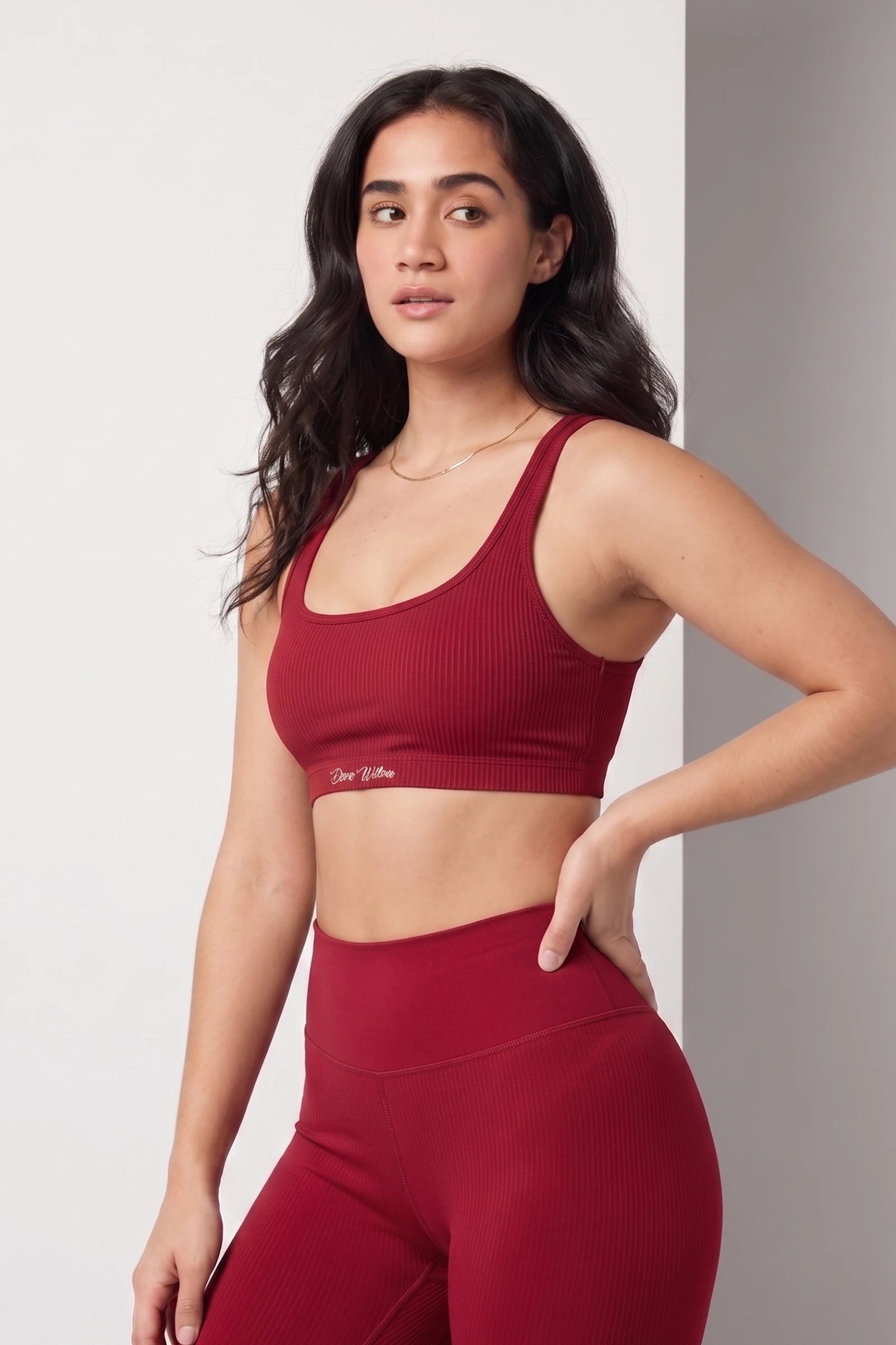 Stealth Ribbed Bra(Red)